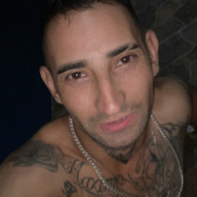 Alfred2