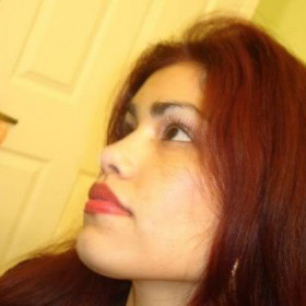 Shirl2