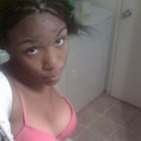 Follow_me_on_twitter_mega_wp11_